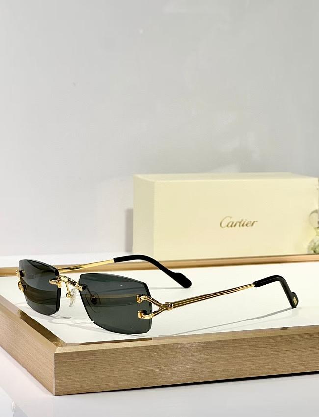 Cartier Sunglasses Black CT0550 - 1