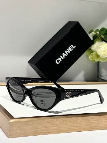 Chanel Sunglasses CH 9163-02