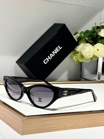 Chanel Sunglasses CH 9163-03