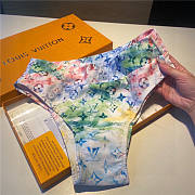 Louis Vuitton Fashion Swimsuit 0102 - 3