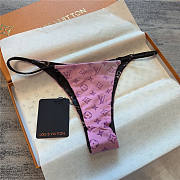 Louis Vuitton Fashion Swimsuit 011 - 4