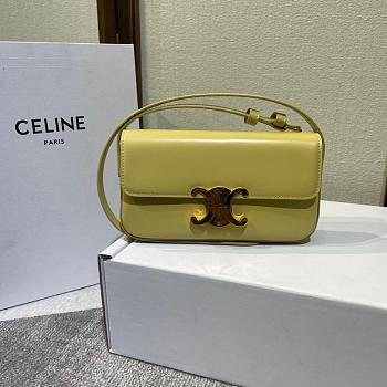 Celine Medium Triomphe Leather Belt Green Size 20x11x4cm