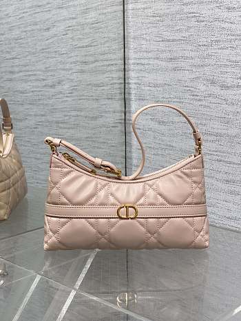 Dior 30 Montaigne Cigale Bag Pink Size 24x14x6CM