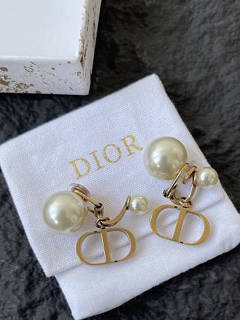 Dior Earrings 0056-02
