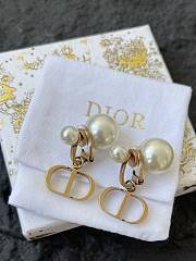 Dior Earrings 0056-02 - 2
