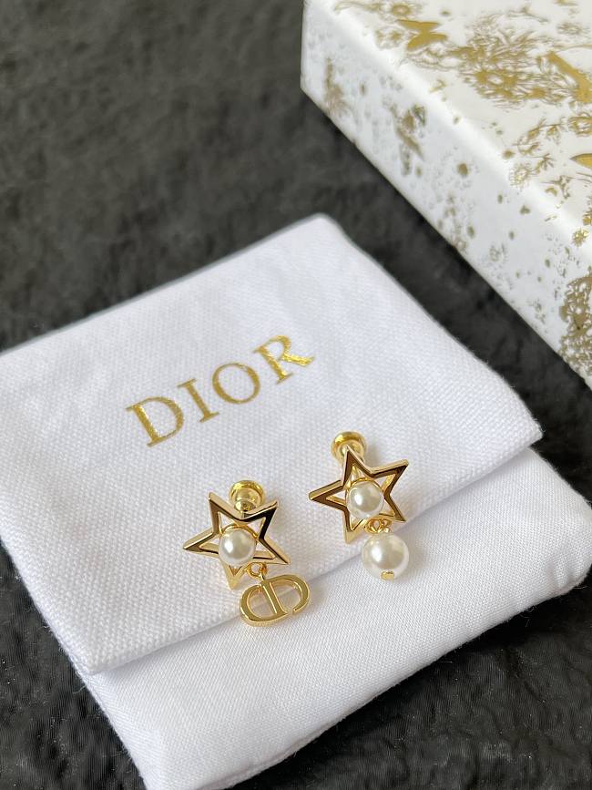 Dior Earrings 0056-04 - 1