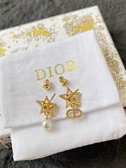 Dior Earrings 0056-04 - 4