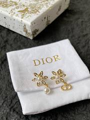 Dior Earrings 0071-03 - 1