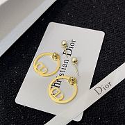Dior Earrings 0071-05 - 4