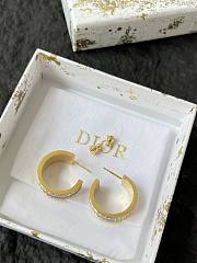 Dior Earrings 0071-06 - 3