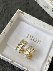 Dior Earrings 0071-06 - 2