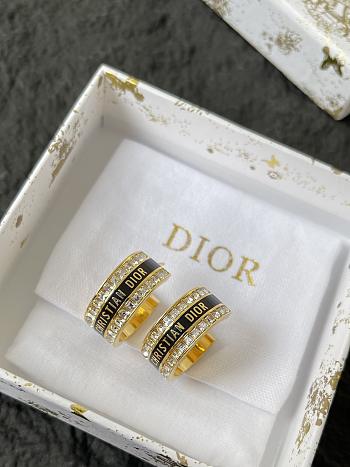 Dior Earrings 0071-07