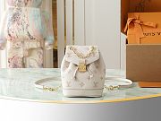 LV Nano Noé Backpack Eden Size 19x15x10CM - 4