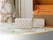 LV Félicie Pochette Bag Eden Size 21x12x3CM - 3