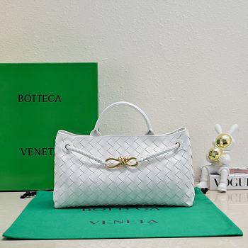 Bottega Veneta Bag BV246 Size 29x18x10CM