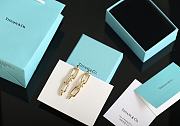 Tiffany & Co Bracelet Earrings 0105-01 - 6