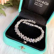 Tiffany & Co Combo (4 items) TC0036 - 6