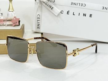 Celine Glasses Code CE0024-05