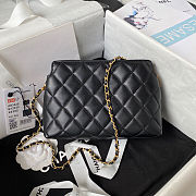 Chanel Bag CLB441 Size 19x13x8CM - 3