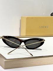 Loewe Glasses LO137 - 2