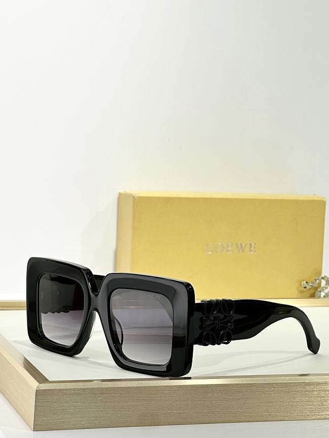 LOEWE Glasses LOE008-09 - 1