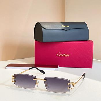 Cartier Sunglasses CT0452-02