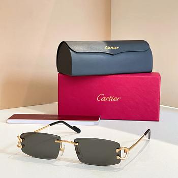Cartier Sunglasses CT0452-03