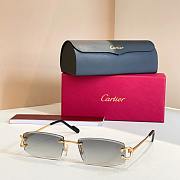 Cartier Sunglasses CT0452-06 - 1