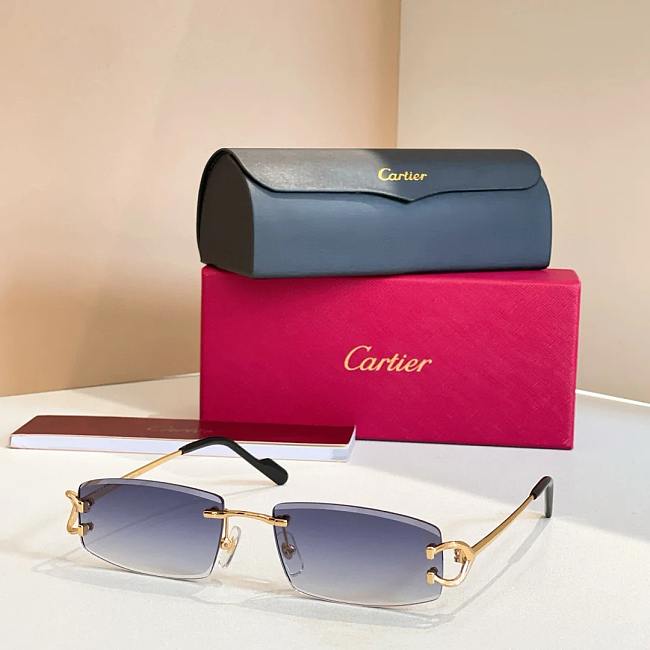 Cartier Sunglasses CT0452-07 - 1