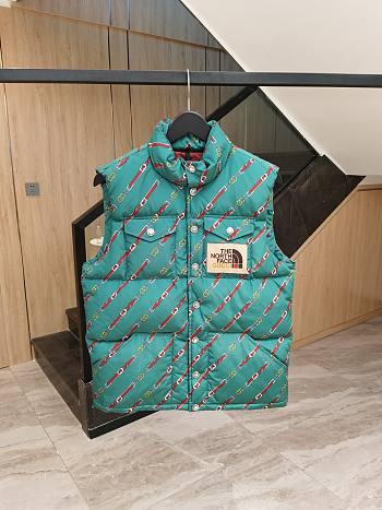 The North Face 1996 Down Vest TNF301-06