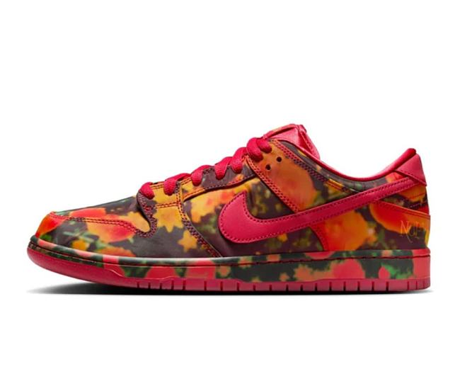 The Wizard of Oz Nike SB Dunk Low FZ1291-600 - 1