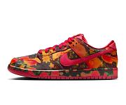 The Wizard of Oz Nike SB Dunk Low FZ1291-600 - 1