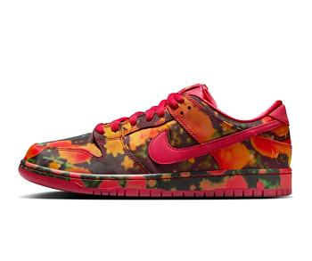 The Wizard of Oz Nike SB Dunk Low FZ1291-600