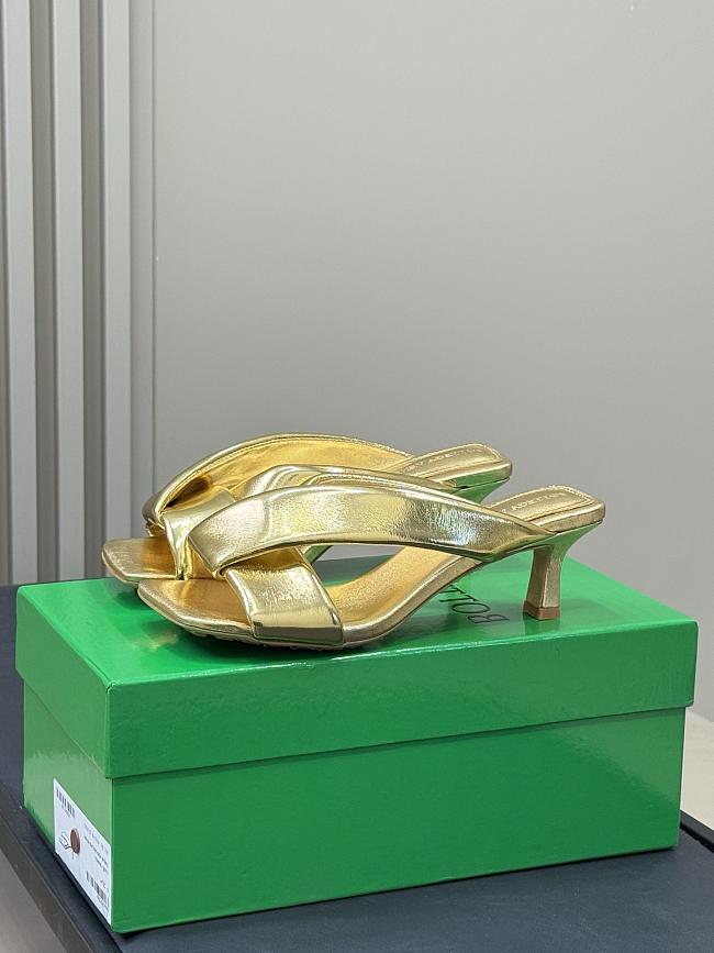 Bottega Veneta High Heel BV6212 (5CM) - 1