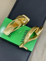 Bottega Veneta High Heel BV6212 (5CM) - 4