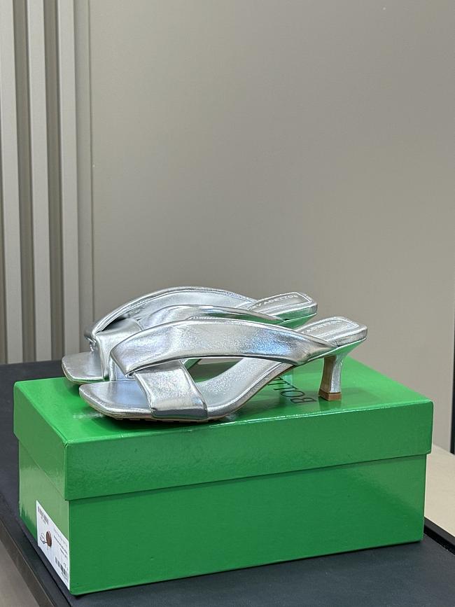 Bottega Veneta High Heel BV6214 (5CM) - 1