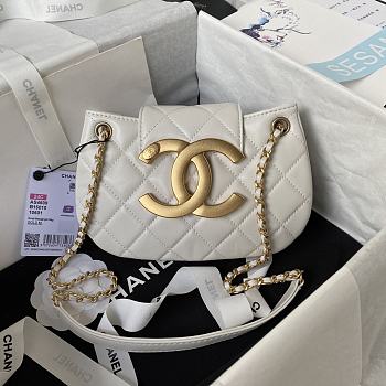 Chanel Handbag CC2516 Size 25x5x18cm