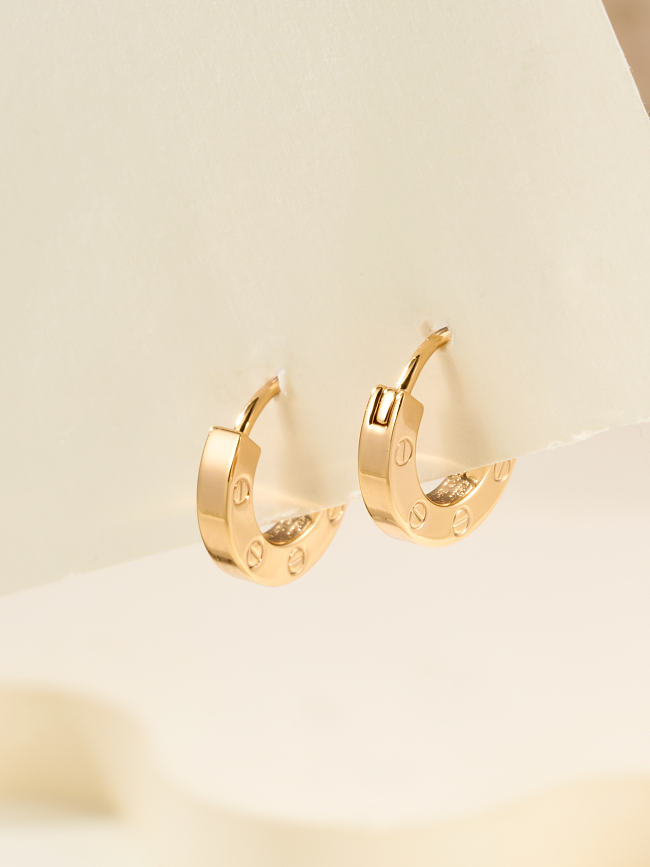 Cartier Earrings Code D001149 - 1