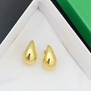 Bottega Veneta Earrings BV6527 - 5