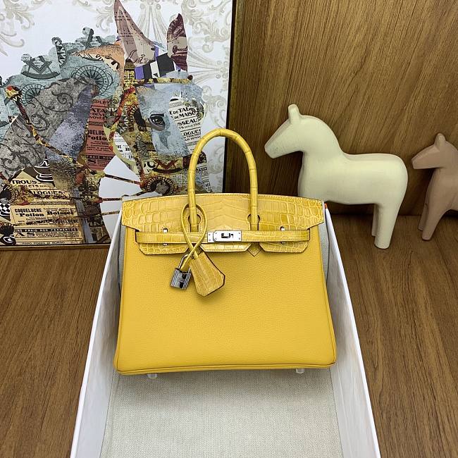 Hermès Handbag HM1009 Size 25cm - 1