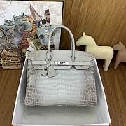 Hermès Himalayan Crocodile Bag HM2412 Size 30cm - 2