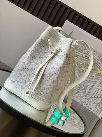 Goyard Petit Flot Bag P1050 Size 23x14x17cm