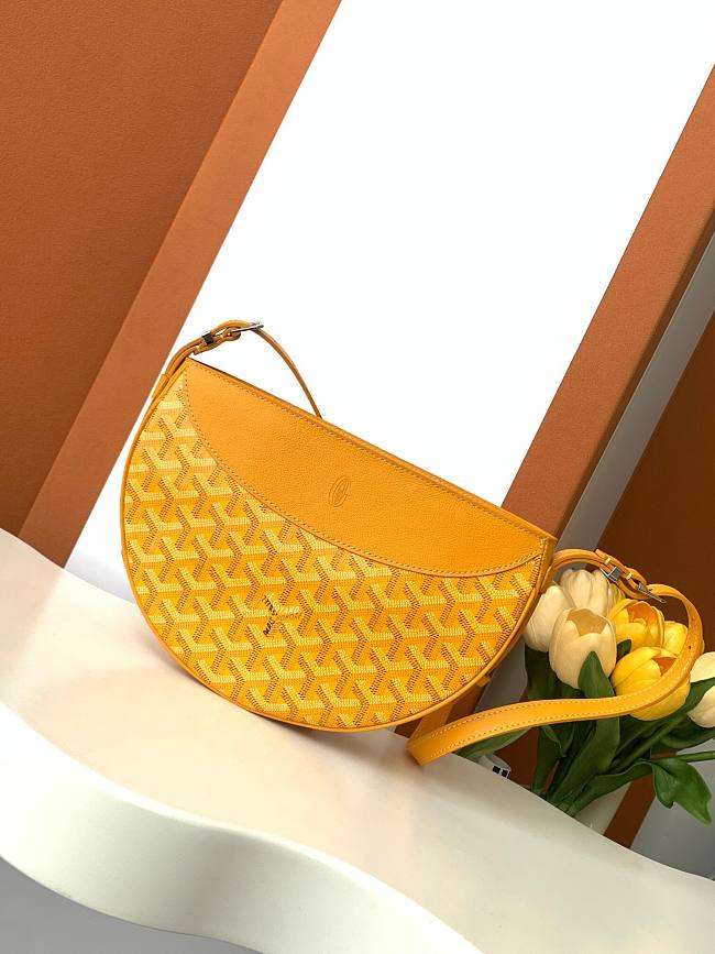 Goyard Pre-Owned Borsa Bag GY00055 Size 25x6x17cm - 1