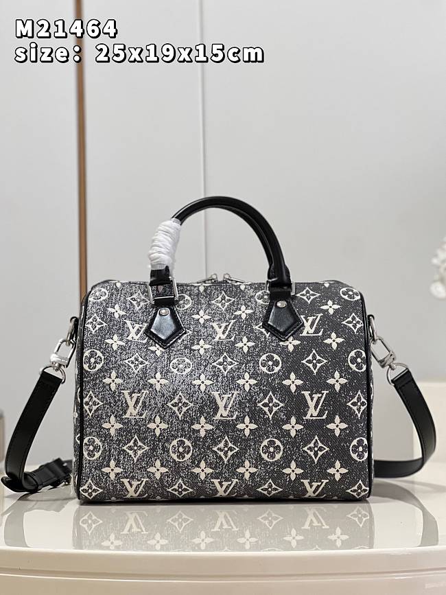 LV Cruise Bag M2146 Size 25x19x15cm - 1