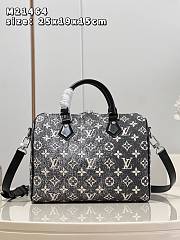 LV Cruise Bag M2146 Size 25x19x15cm - 1