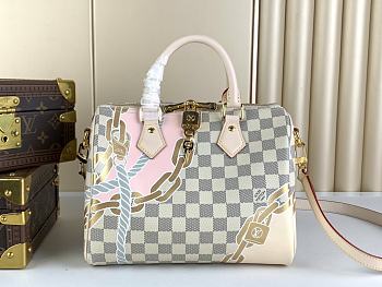 LV Speedy25 Bag M45699 Size 25x19x15cm
