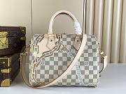 LV Speedy25 Bag M45699 Size 25x19x15cm - 5